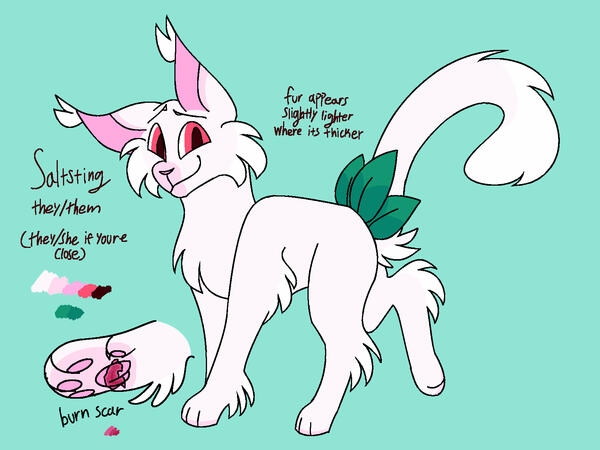 refsheet